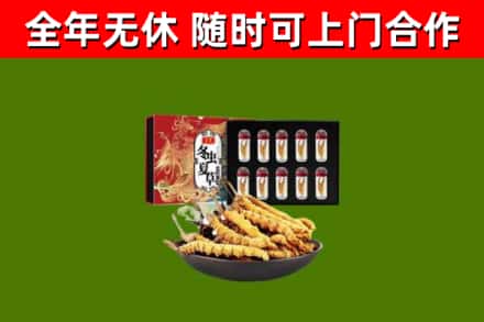 甘谷县回收冬虫夏草价格